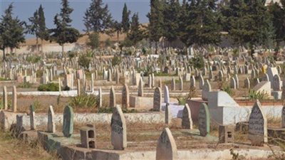 رواية قبر جدى جميع الفصول كاملة بقلم الكاتبة رانيا عمارة