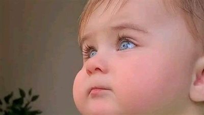 قصة ما وراء السطور بقلم هنا سلامه
