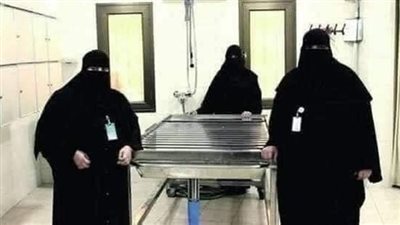 قصة مالك فى المدينه