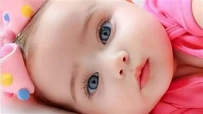 رواية غيرة الفهد كاملة حتي الفصل الاخير حصري بقلم زهرة الربيع