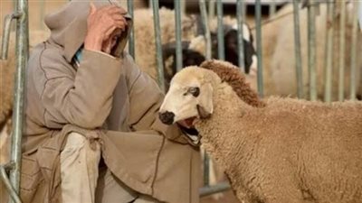 قصة جوزي وجارتي كامله جميع الفصول